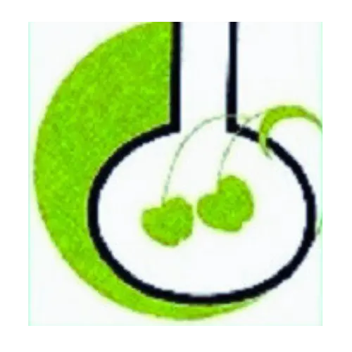 Institute logo